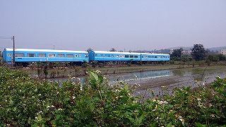 苗栗県の鉄道レストラン_c0093732_15015.jpg