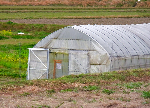 農作物の自販機？　はたけスーパーに行ってみました。_d0017632_1645253.jpg