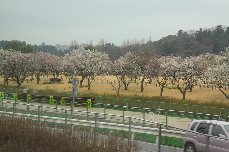 f0229832_1118591.jpg