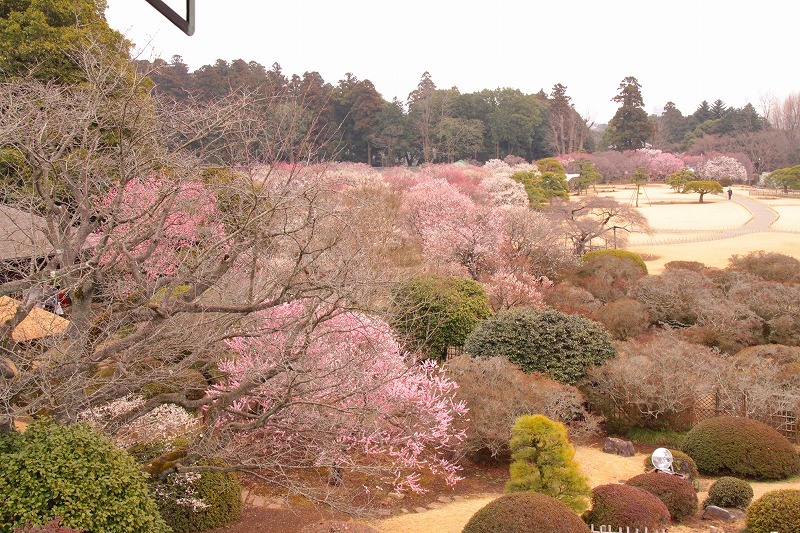 f0229832_11211613.jpg