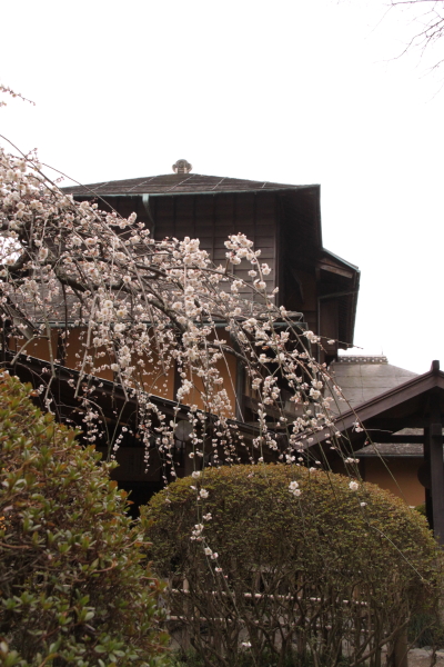 f0229832_1221719.jpg