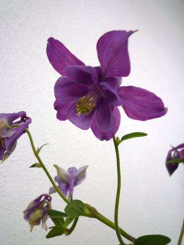 c0193639_1349647.jpg