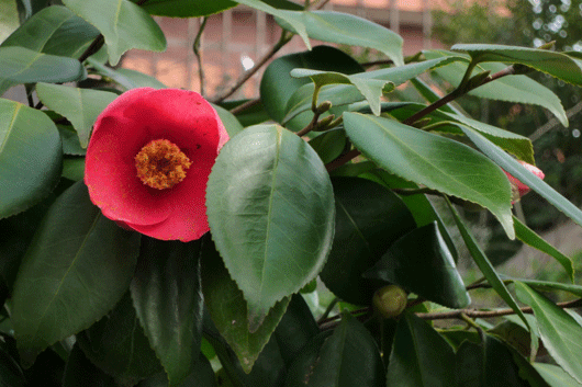 c0093046_7182725.gif