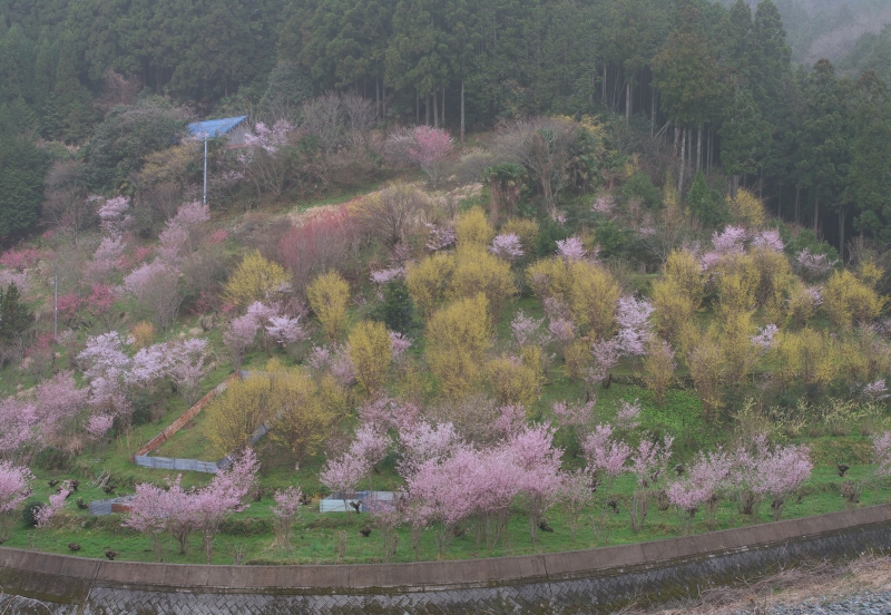 b0147449_196010.jpg