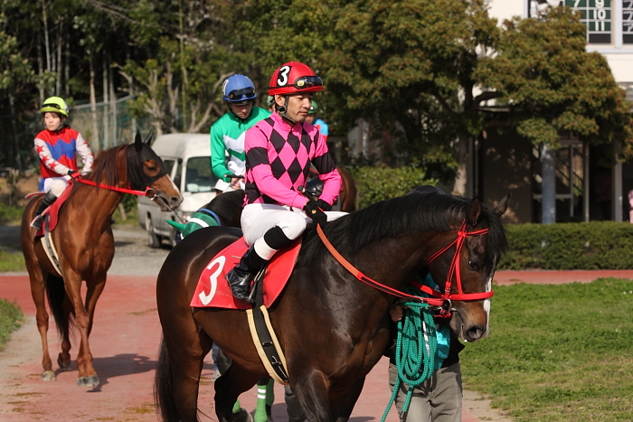 2010年3月22日（月） 高知競馬 5R はりまや盃 ［JRA指定交流］ B以下選抜馬 パドック_a0077663_8294594.jpg