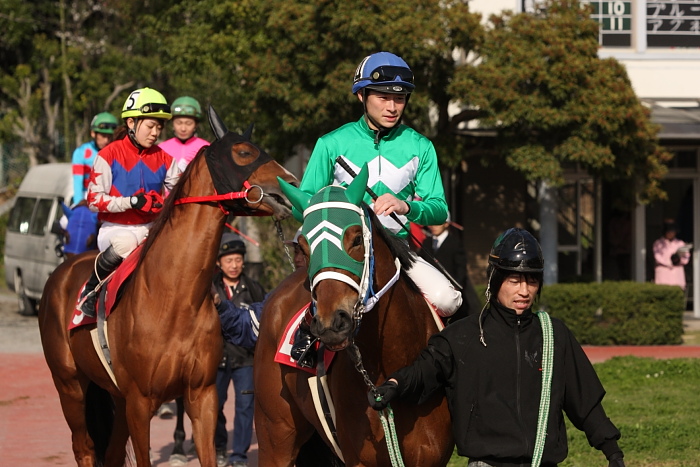 2010年3月22日（月） 高知競馬 5R はりまや盃 ［JRA指定交流］ B以下選抜馬 パドック_a0077663_8295324.jpg