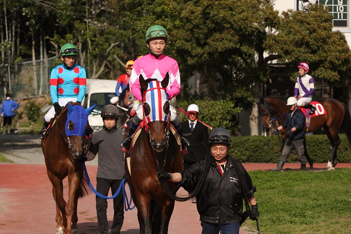 2010年3月22日（月） 高知競馬 5R はりまや盃 ［JRA指定交流］ B以下選抜馬 パドック_a0077663_83015.jpg