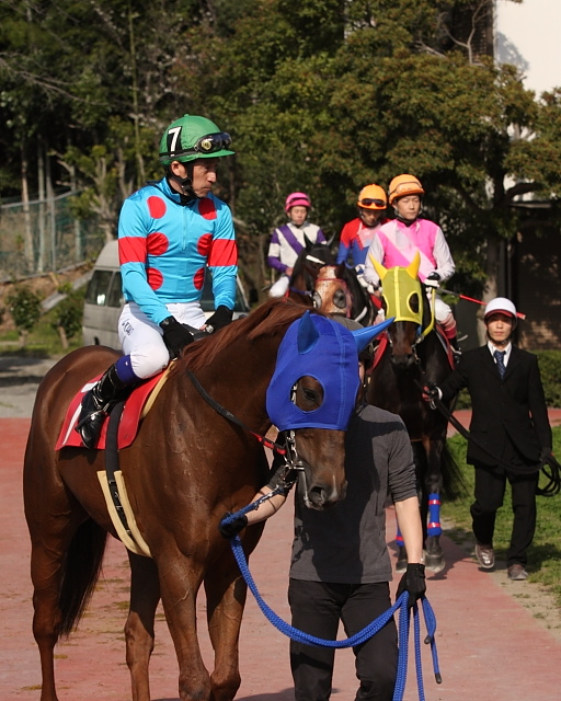 2010年3月22日（月） 高知競馬 5R はりまや盃 ［JRA指定交流］ B以下選抜馬 パドック_a0077663_8302576.jpg