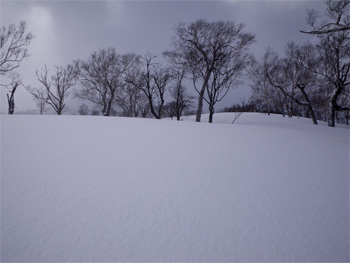 c0144467_2212247.jpg