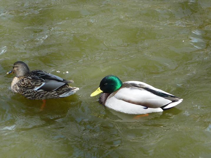 朝日山公園で散歩です～_e0139167_2354888.jpg