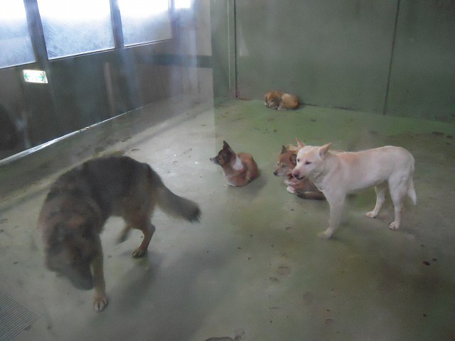 f0225871_1851438.jpg