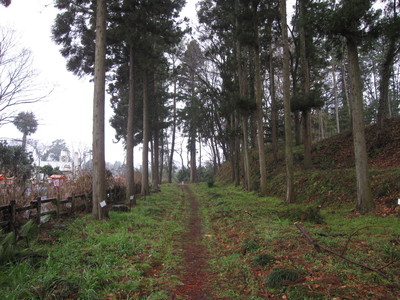 b0032079_01174.jpg