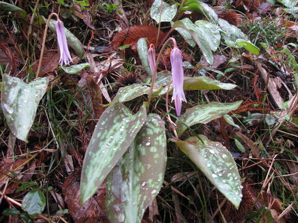 b0032079_042113.jpg