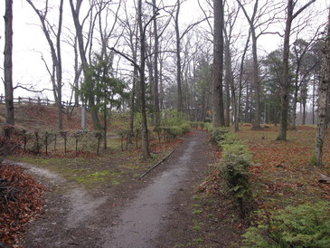 b0032079_045049.jpg