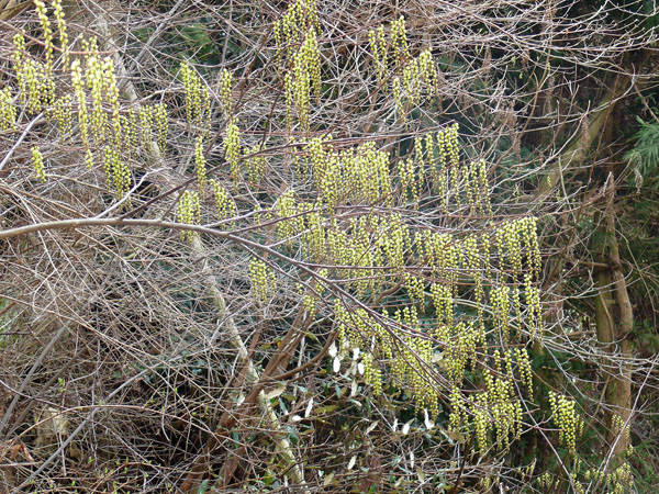 e0056880_1257590.jpg