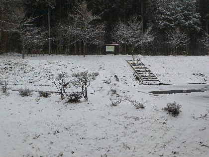 b0144882_82870.jpg