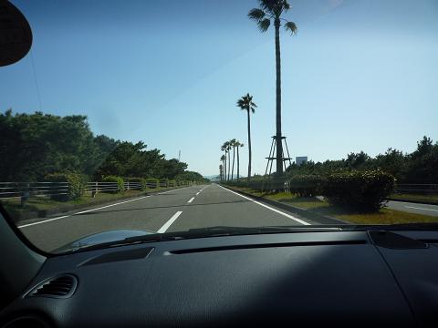 f0007990_07799.jpg