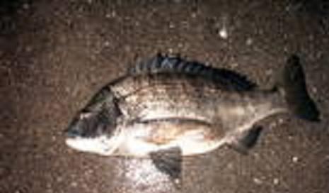 e0147297_16583939.jpg