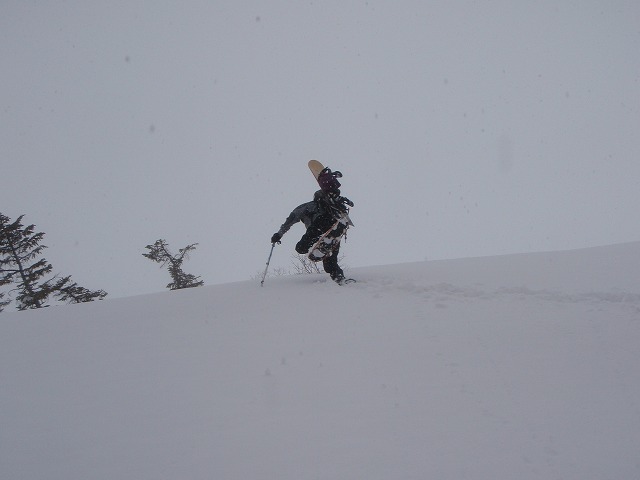 c0147398_23392550.jpg