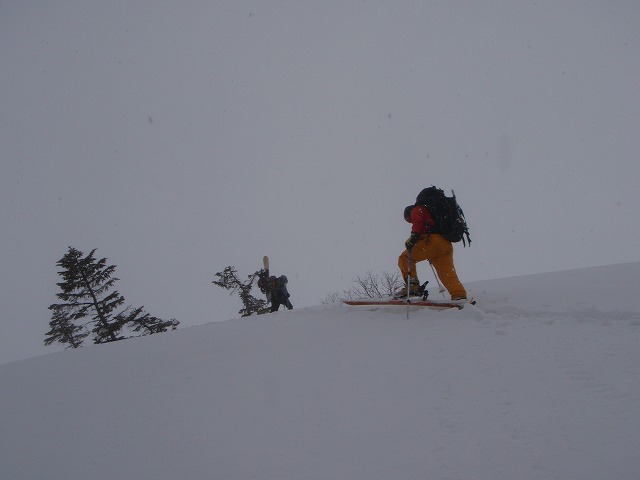 c0147398_23393321.jpg