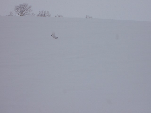 c0147398_23395213.jpg