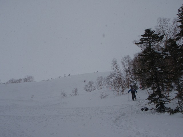 c0147398_2342940.jpg