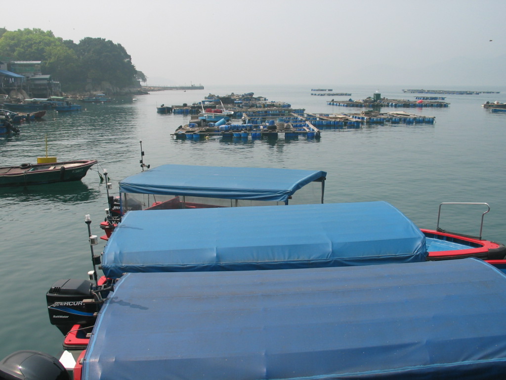 e0012800_1810779.jpg