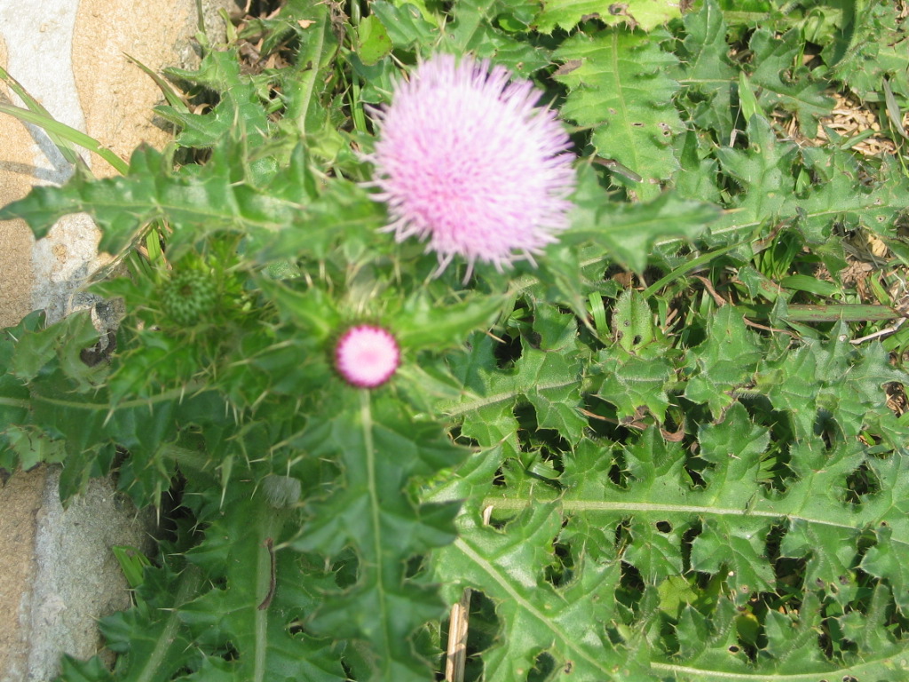 e0012800_1821894.jpg