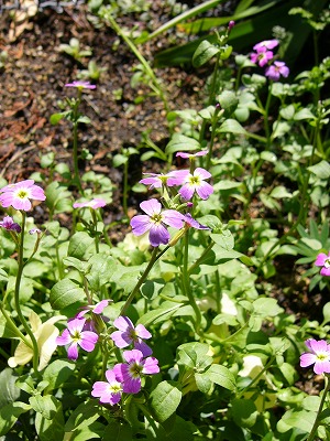 a0123003_18293750.jpg