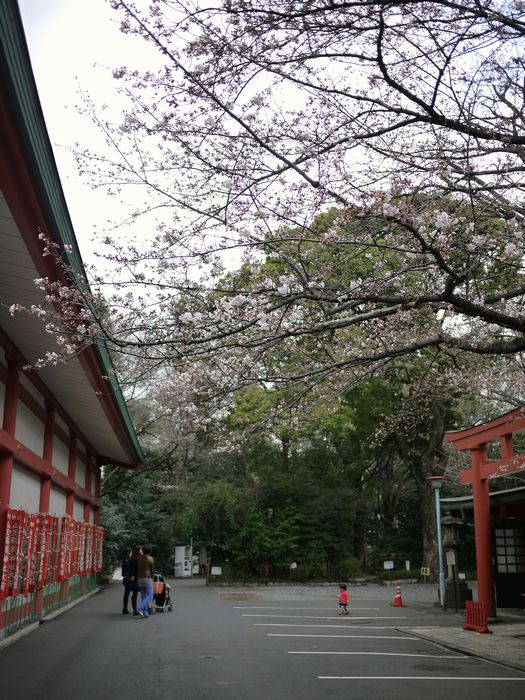 c0187503_2257954.jpg