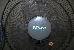 c0178907_03467.jpg