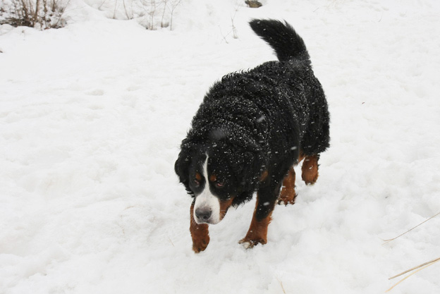 March 21, 2010／晴れのち吹雪_f0137508_11561232.jpg