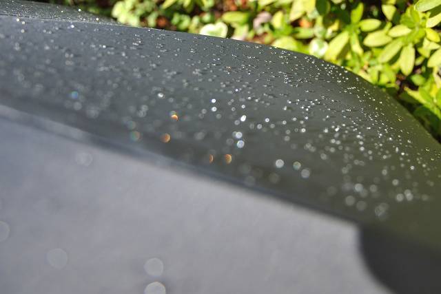 f0167310_2010168.jpg