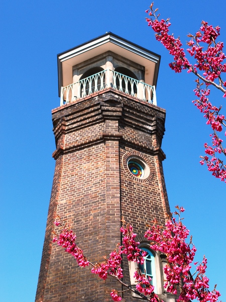 c0177814_20243043.jpg