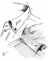 f0227716_13272789.jpg