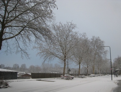 d0134717_31291.jpg