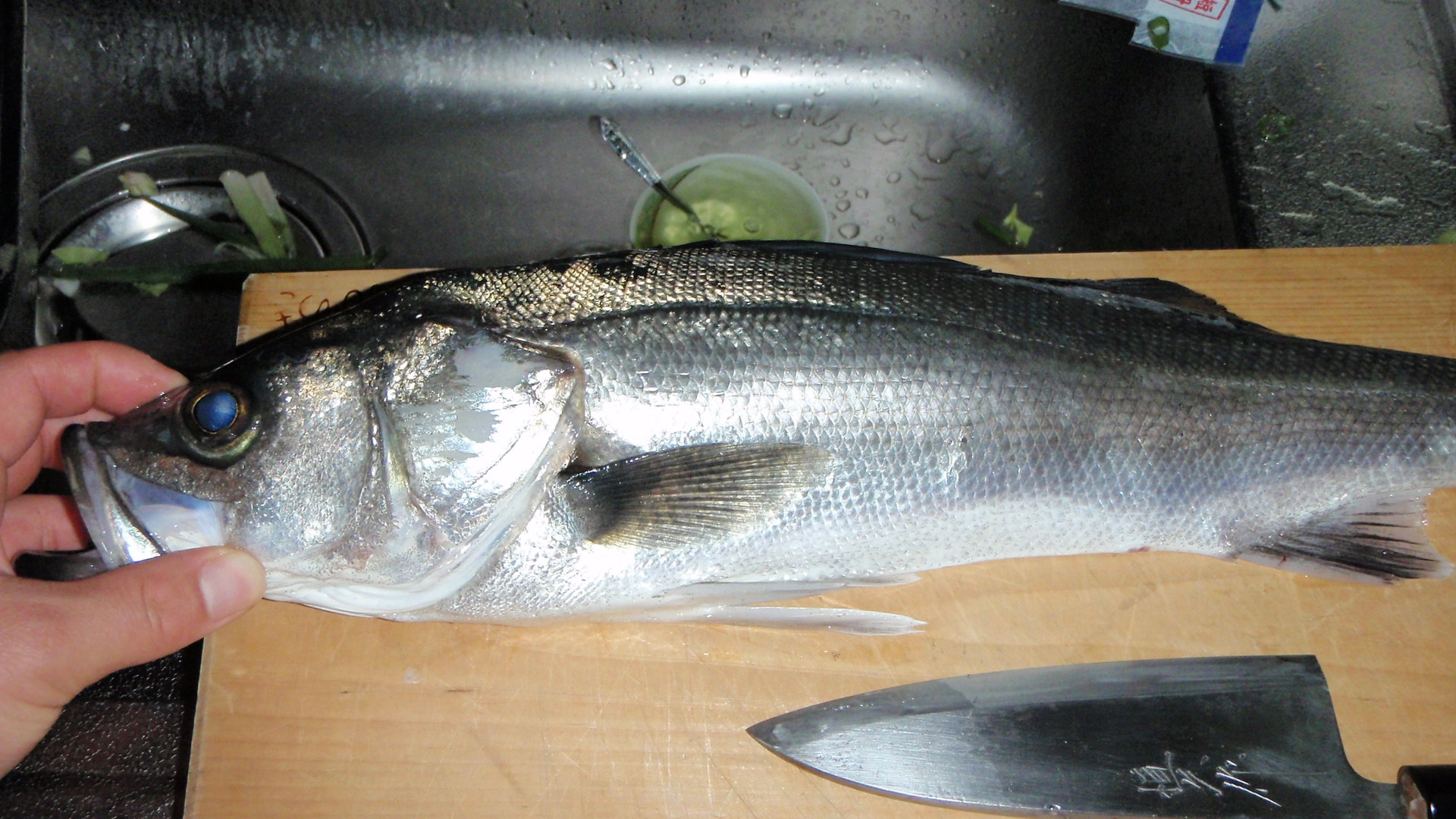 マダカ 魚料理を極めろ マダカ 魚料理を極めろ