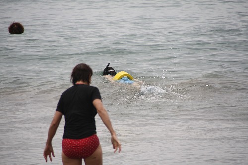 マウイ島旅行　～海には自然がたくさん～_f0130621_6487.jpg