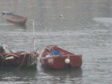 d0101623_1472968.jpg