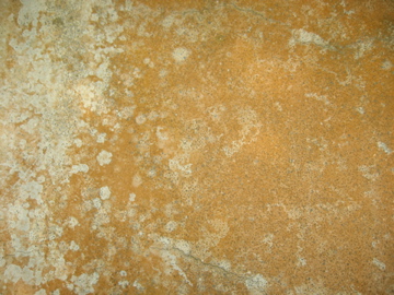 d0101623_1482381.jpg