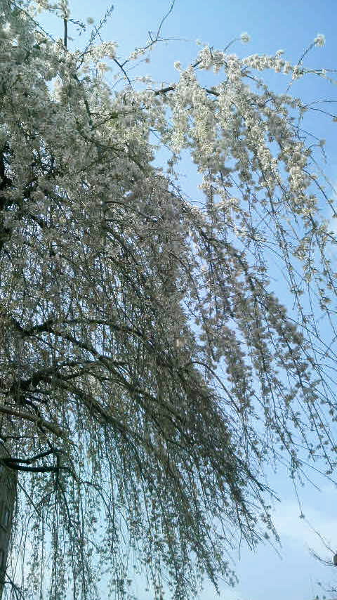 f0107724_9101042.jpg