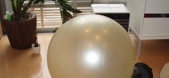 f0222025_9513027.jpg