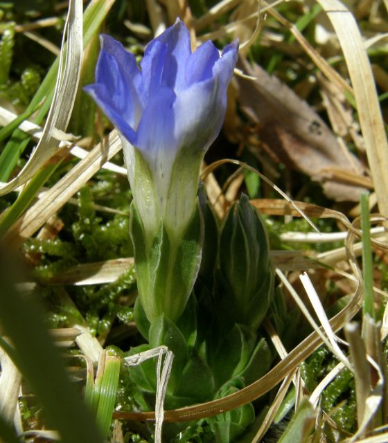 e0145033_2127073.jpg