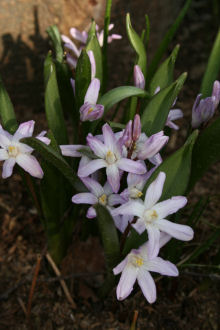 f0002534_23572826.jpg