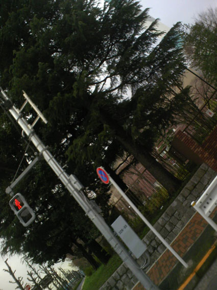 c0125637_20594699.jpg