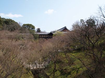 月輪の名刹２ヶ所をぶら～り・東福寺編その１_d0079440_2125674.jpg