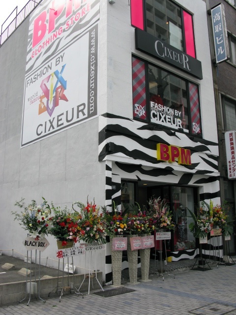 e0186541_1511466.jpg
