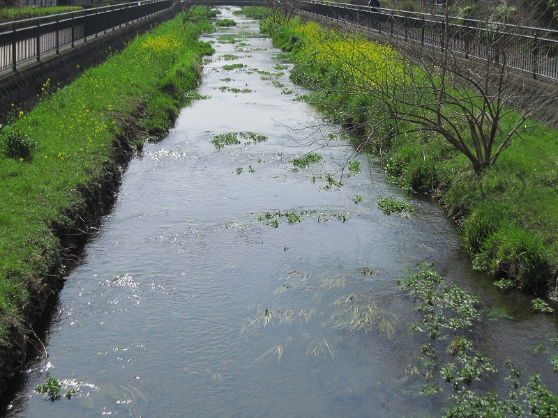 b0097747_14592389.jpg