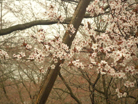 e0069647_2258151.jpg