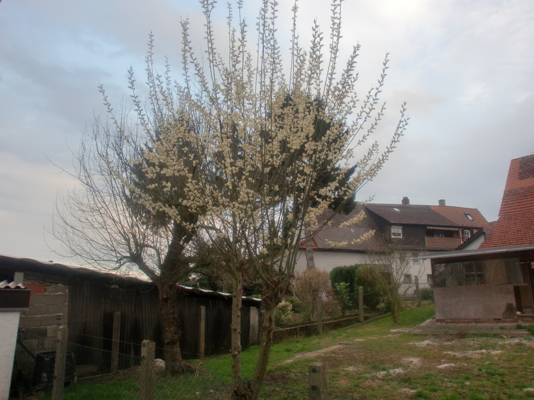 f0174549_27548.jpg